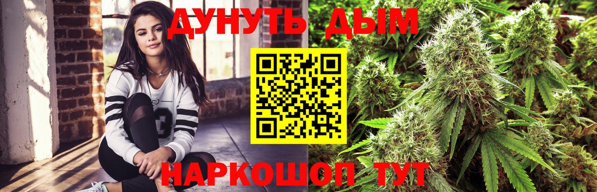 Каннабис сатива  Шишки марихуана White Widow  Унеча  Марихуана сатива  Вход с VPN 